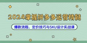 2024掌握拼多多运营精髓:爆款流程、定价技巧与SKU设计实战课-个人经验技术分享