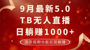 9月最新TB无人，日躺赚1000+，不违规不封号，国庆假期也能躺！-个人经验技术分享
