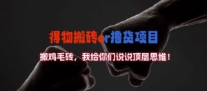 得物搬砖撸货项目?掰下数据,我给你们说说顶层思维【揭秘】-个人经验技术分享