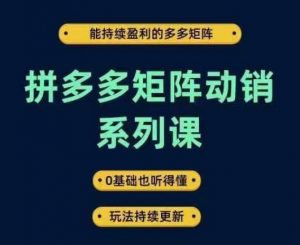 拼多多矩阵动销系列课,能持续盈利的多多矩阵,0基础也听得懂,玩法持续更新-个人经验技术分享