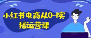 小红书电商从0-1实操运营课,小红书手机实操小红书/IP和私域课/小红书电商电脑实操板块等-个人经验技术分享