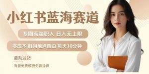 小红书蓝海赛道,圈中高端职场人,月入无上限,可矩阵,内含私域实操教程!-个人经验技术分享