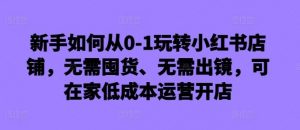 新手如何从0-1玩转小红书店铺,无需囤货、无需出镜,可在家低成本运营开店-个人经验技术分享