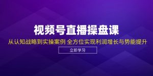 视频号直播操盘课，从认知战略到实操案例 全方位实现利润增长与势能提升-个人经验技术分享