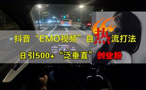 抖音EMO视频自热打法,日引500+“泛垂直”创业粉-个人经验技术分享