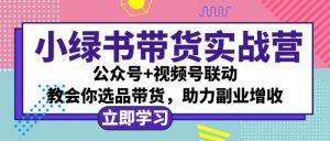 小绿书AI带货实战营：公众号+视频号联动，教会你选品带货，助力副业增收-个人经验技术分享