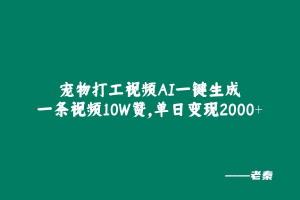 宠物打工视频,AI一键生成,一条视频10W赞,单日变现2000+-个人经验技术分享