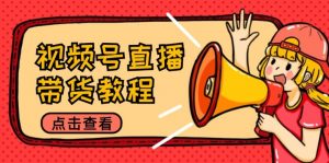 视频号直播带货教程：选品思路与话术拆解/掌握多种带货套路/提升直播效果-个人经验技术分享