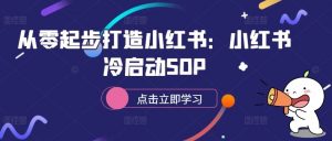 从零起步打造小红书:小红书冷启动SOP-个人经验技术分享