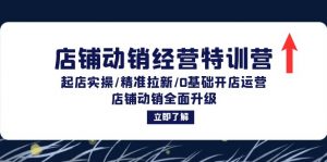 店铺动销经营特训营:起店实操/精准拉新/0基础开店运营/店铺动销全面升级-个人经验技术分享