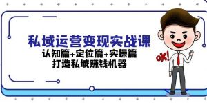 私域运营变现实战课:认知篇+定位篇+实操篇,打造私域赚钱-个人经验技术分享