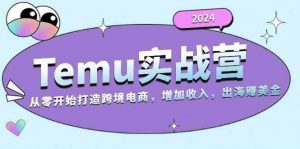 2024Temu出海赚美金实战营,从零开始打造跨境电商增加收入(124G)-个人经验技术分享
