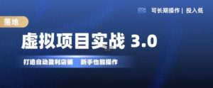 虚拟项目实战3.0,打造自动盈利店铺,可长期操作投入低,新手也能操作-个人经验技术分享