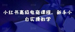 小红书高级电商课程,新手小白实操教学-个人经验技术分享