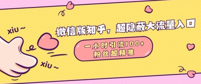 图片[1]-微信版知乎，超隐蔽流量入口1小时引流100人，粉丝质量超高【揭秘】-个人经验技术分享