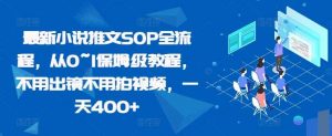 最新小说推文SOP全流程，从0~1保姆级教程，不用出镜不用拍视频，一天400+-个人经验技术分享