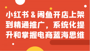 小红书&闲鱼开店上架到精通推广，系统化提升和掌握电商蓝海思维-个人经验技术分享