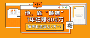 他，靠“撸猫”1年狂赚800万，每天收益高达2万+？-个人经验技术分享