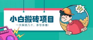 新手小白也能操作的百家号动态搬砖项目,零成本零门槛一天保底几十,多号多撸!-个人经验技术分享