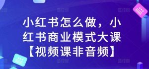 小红书怎么做，小红书商业模式大课【视频课非音频】-个人经验技术分享