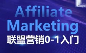 ​​​​​​Affiliate Marketing联盟营销0-1入门，联盟营销基本逻辑 联盟平台逻辑及联盟客逻辑全面详解-个人经验技术分享