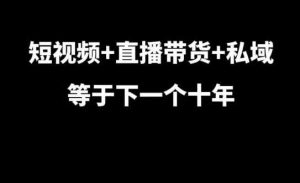 短视频+直播带货+私域等于下一个十年,大佬7年实战经验总结-个人经验技术分享