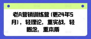 老A营销训练营(更24年12月)，轻理论，重实战，轻概念，重本质-个人经验技术分享