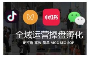 全域运营操盘(抖音+私域+小红书)，IP打造高效简单-个人经验技术分享