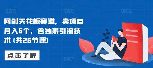 图片[1]-网创天花板赛道，卖项目月入6个，含独家引流技术(共26节课)-个人经验技术分享
