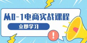从零做电商实战课程,教你如何获取访客、选品布局,搭建基础运营团队-个人经验技术分享