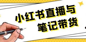 小红书直播与笔记带货：选品、上架、笔记写作、视频剪辑及直播话术等-个人经验技术分享