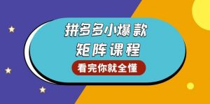 拼多多爆款矩阵课程：教你测出店铺爆款，优化销量，提升GMV，打造爆款群-个人经验技术分享