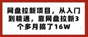 网盘拉新项目,从入门到精通,靠网盘拉新3个多月搞了16W-个人经验技术分享