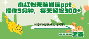 小红书无脑搬运ppt,操作5分钟,每天轻松300+-个人经验技术分享