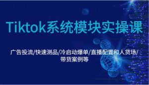 Tiktok系统模块实操课：广告投流/快速测品/冷启动爆单/直播配置和人货场/带货案例等-个人经验技术分享