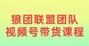 狼团联盟2024视频号带货,0基础小白快速入局视频号-个人经验技术分享