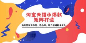 淘宝天猫小爆款矩阵打造:涵盖蓝海词布局、选品等,助力店铺销量飙升-个人经验技术分享