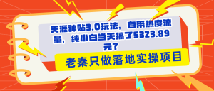 天涯神贴3.0玩法,自带热度流量,纯小白当天搞了5323.89元?-个人经验技术分享