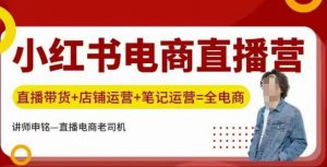 小红书电商直播训练营，直播带货+店铺运营+笔记运营-个人经验技术分享
