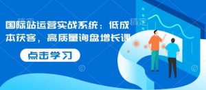 国际站运营实战系统:低成本获客,高质量询盘增长课-个人经验技术分享