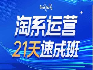淘系运营21天速成班35期,年前最后一波和2025方向-个人经验技术分享