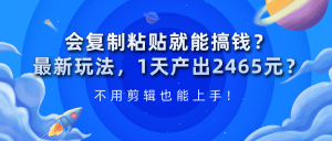 会复制粘贴就能搞钱？1天产出2465元？不用剪辑也能上手！-个人经验技术分享