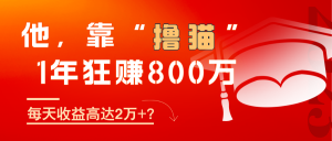 他，靠“撸猫”1年狂赚800万，每天收益高达2万+？-个人经验技术分享