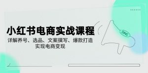 小红书电商实战课程，详解养号、选品、文案撰写、爆款打造，实现电商变现-个人经验技术分享