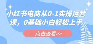 小红书电商从0-1实操运营课,0基础小白轻松上手-个人经验技术分享