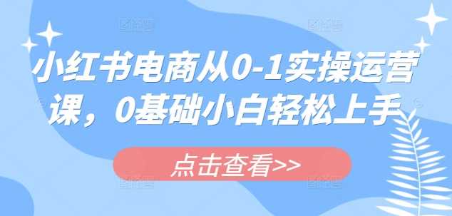 小红书电商从0-1实操运营课，0基础小白轻松上手 -1