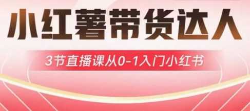 小红薯达人带货启航计划，3节直播课从0-1入门小红书 -1