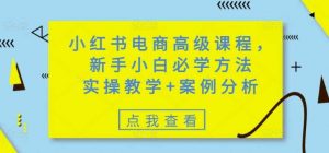 小红书电商高级课程，新手小白必学方法，实操教学+案例分析-个人经验技术分享