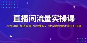 直播间流量实操课:机制拆解+算法洞察+引流策略,3步掌握流量运营核心逻辑-个人经验技术分享