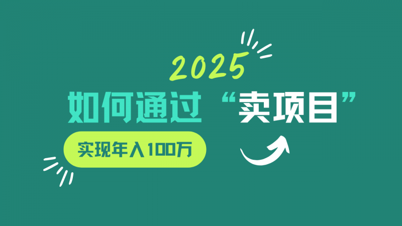 2025年如何通过“卖项目”实现年入100w -1